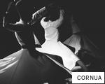 CORNUA anagram