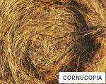 CORNUCOPIA anagram
