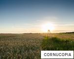 CORNUCOPIA anagram
