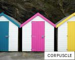 CORPUSCLE anagram