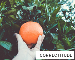 CORRECTITUDE anagram