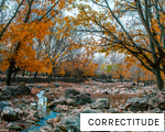 CORRECTITUDE anagram