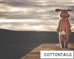 COTTONTAILS anagram