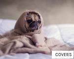 COVERS anagram