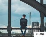 CRANE anagram