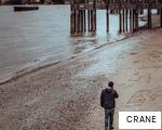 CRANE anagram