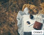 CRAWS anagram