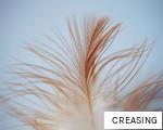 CREASING anagram