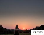 CRESTS anagram