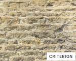 CRITERION anagram