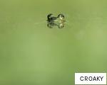 CROAKY anagram