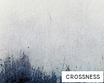CROSSNESS anagram