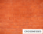 CROSSNESSES anagram