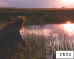 CROU anagram
