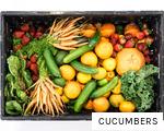 CUCUMBERS anagram