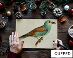 CUFFED anagram