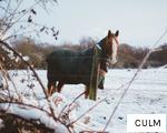 CULM anagram