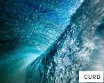 CURD anagram