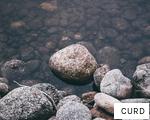 CURD anagram