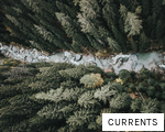 CURRENTS anagram