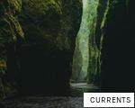 CURRENTS anagram