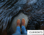 CURRENTS anagram