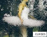 CURSES anagram