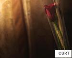 CURT anagram