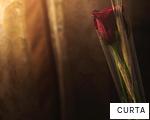 CURTA anagram