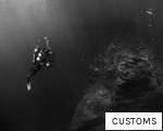 CUSTOMS anagram