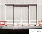 CUTISES anagram