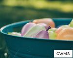 CWMS anagram