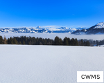 CWMS anagram