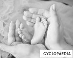 CYCLOPAEDIA anagram