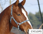 CYCLOPS anagram