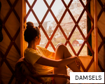 DAMSELS anagram