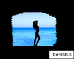 DAMSELS anagram