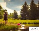 DANAS anagram