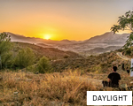 DAYLIGHT anagram