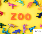 DDIS anagram