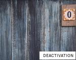 DEACTIVATION anagram