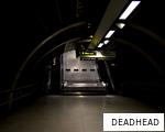 DEADHEAD anagram