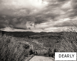 DEARLY anagram