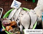 DEARNESSES anagram