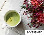DECEPTIONS anagram