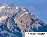 DECLENSIONS anagram