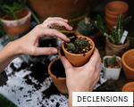 DECLENSIONS anagram