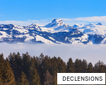 DECLENSIONS anagram