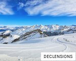 DECLENSIONS anagram