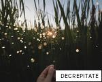DECREPITATE anagram